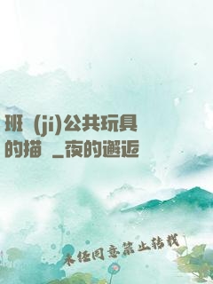 班級(jí)公共玩具的描寫