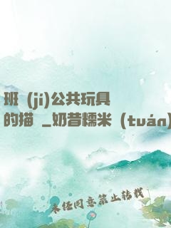 班級(jí)公共玩具的描寫