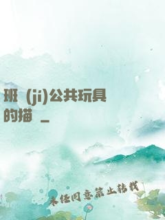 班級(jí)公共玩具的描寫