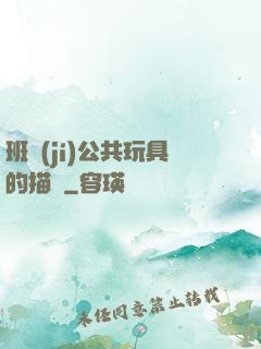 班級(jí)公共玩具的描寫
