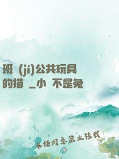 班級(jí)公共玩具的描寫