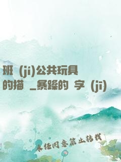 班級(jí)公共玩具的描寫