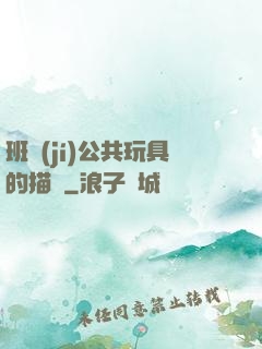 班級(jí)公共玩具的描寫