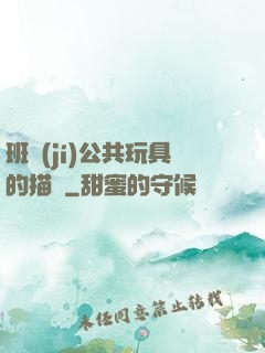 班級(jí)公共玩具的描寫