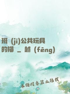 班級(jí)公共玩具的描寫