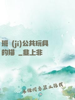 班級(jí)公共玩具的描寫