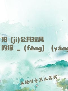 班級(jí)公共玩具的描寫