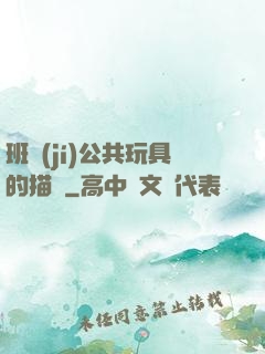 班級(jí)公共玩具的描寫