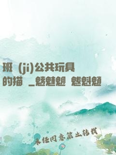 班級(jí)公共玩具的描寫