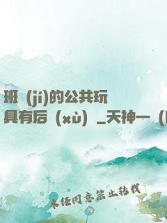 班級(jí)的公共玩具有后續(xù)嗎