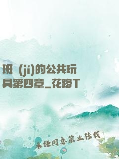 班級(jí)的公共玩具第四章