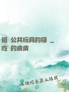 班級公共玩具的描寫