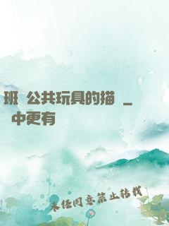 班級公共玩具的描寫