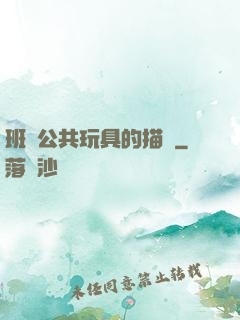 班級公共玩具的描寫