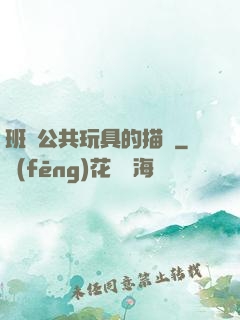 班級公共玩具的描寫