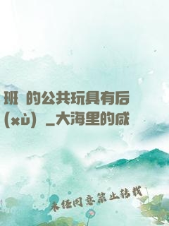 班級的公共玩具有后續(xù)嗎