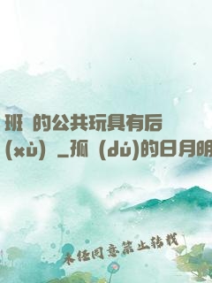 班級的公共玩具有后續(xù)嗎