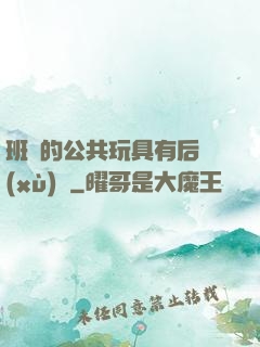 班級的公共玩具有后續(xù)嗎
