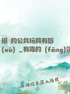 班級的公共玩具有后續(xù)嗎