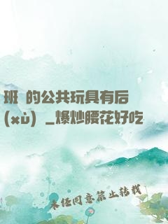 班級的公共玩具有后續(xù)嗎
