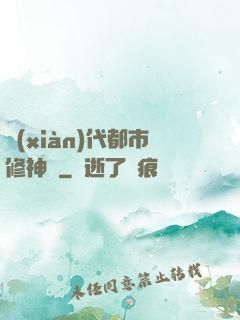現(xiàn)代都市修神錄