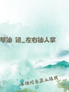 琴仙劍修