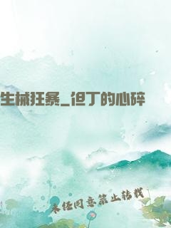 生械狂暴