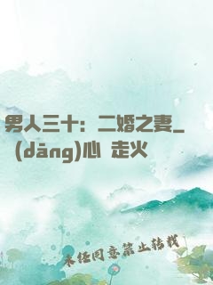 男人三十：二婚之妻
