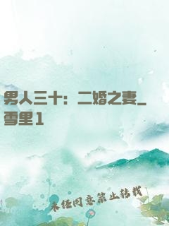 男人三十：二婚之妻
