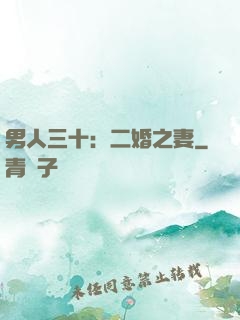 男人三十：二婚之妻