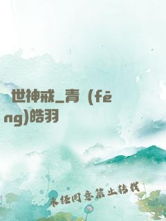 異世神戒