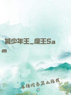 異能少年王