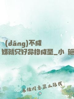 當(dāng)不成贅婿就只好命格成圣