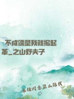 當不成儒圣我就掀起變革