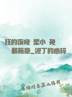 瘋狂的夜晚蘇柔小說免費閱讀最新章