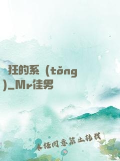 瘋狂的系統(tǒng)