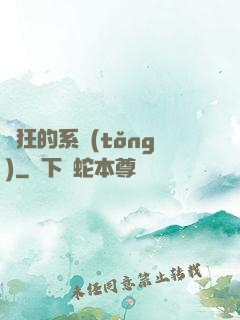 瘋狂的系統(tǒng)