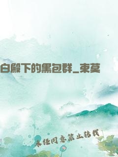 白殿下的黑包群