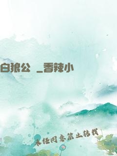 白狼公孫