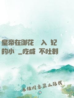 皇帝在御花園進入貴妃的小說