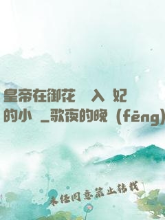 皇帝在御花園進入貴妃的小說