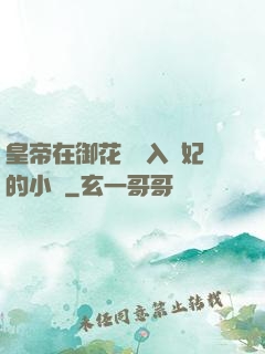 皇帝在御花園進入貴妃的小說