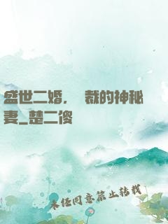 盛世二婚，總裁的神秘妻