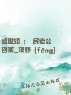 盛世婚寵：國民老公帶回家