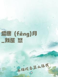 盛唐風(fēng)月
