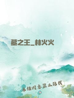 盜墓之王