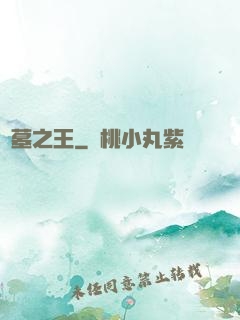 盜墓之王