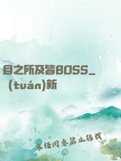 目之所及皆BOSS