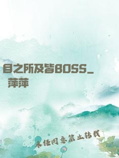 目之所及皆BOSS