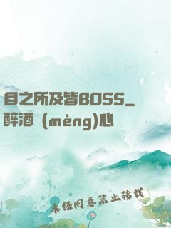目之所及皆BOSS